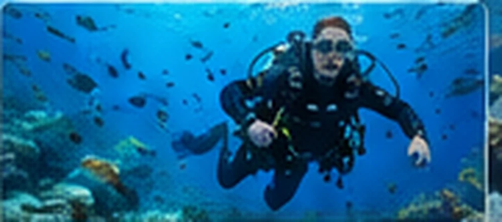 Erfahrener Taucher im klaren Freiwasser