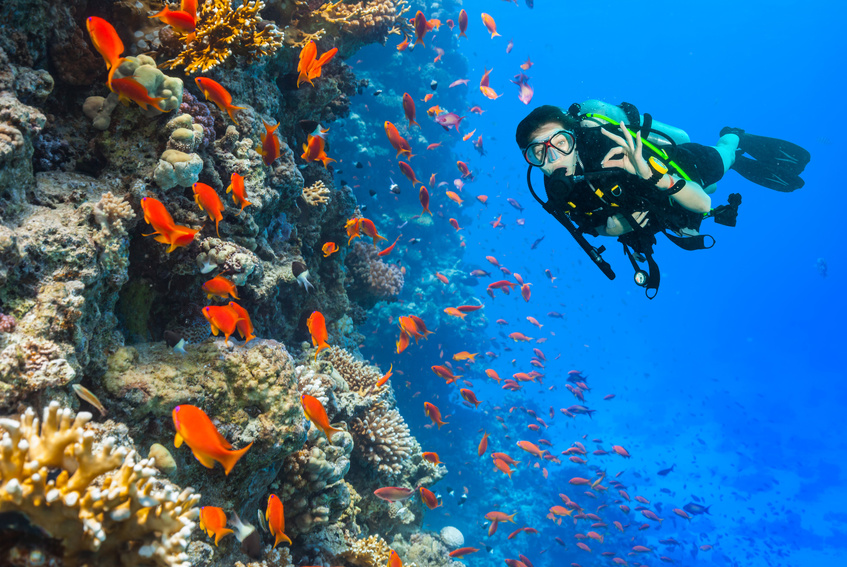 Taucher schwebt am Riff Open Water Diver Kurs